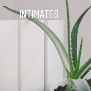 See discounts below!! Victoria’s Secret, Aerie, American Eagle, H&M & more!